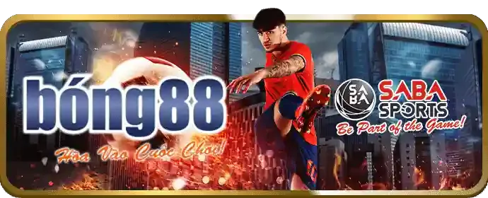Cá cược Thể Thao okking85